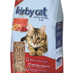 Kirby Cat Pasare si Vita