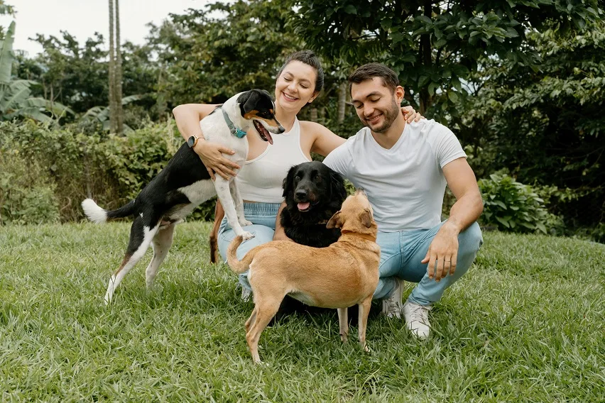 Câine fericit adoptat din adăpost alături de familie